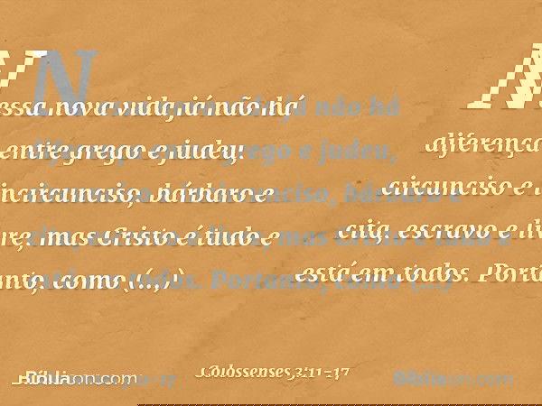 Nessa nova vida já não há diferença entre grego e judeu, circunciso e incircunciso, bárbaro e cita, escravo e livre, mas Cristo é tudo e está em todos. Portanto