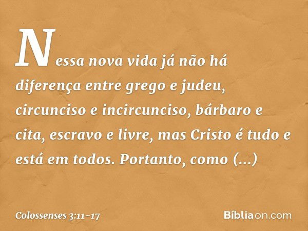 Nessa nova vida já não há diferença entre grego e judeu, circunciso e incircunciso, bárbaro e cita, escravo e livre, mas Cristo é tudo e está em todos. Portanto