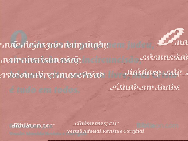 onde não há grego nem judeu, circuncisão nem incircuncisão, bárbaro, cita, servo ou livre; mas Cristo é tudo em todos.