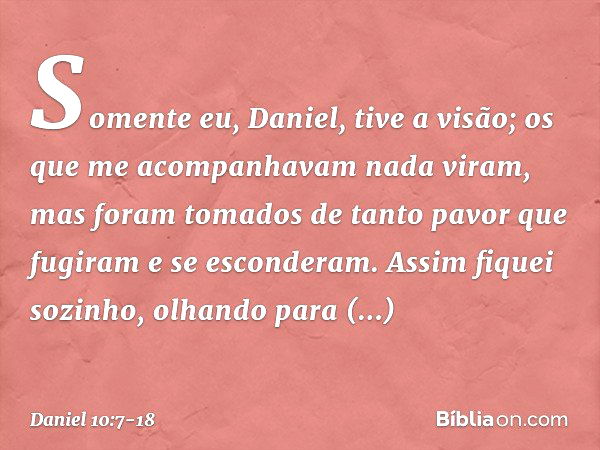 Somente eu, Daniel, tive a visão; os que me acompanhavam nada viram, mas foram tomados de tanto pavor que fugiram e se esconde­ram. Assim fiquei sozinho, olhand