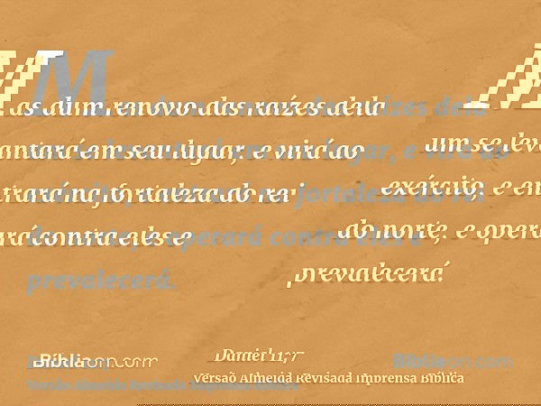 Mas dum renovo das raízes dela um se levantará em seu lugar, e virá ao exército, e entrará na fortaleza do rei do norte, e operará contra eles e prevalecerá.
