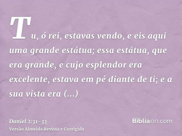 Tu, ó rei, estavas vendo, e eis aqui uma grande estátua; essa estátua, que era grande, e cujo esplendor era excelente, estava em pé diante de ti; e a sua vista 