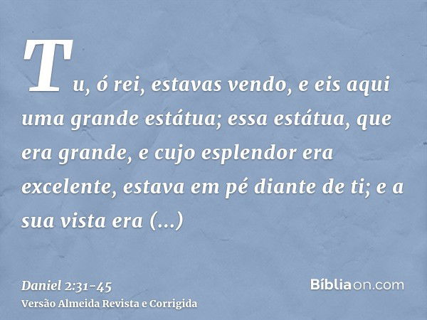 Tu, ó rei, estavas vendo, e eis aqui uma grande estátua; essa estátua, que era grande, e cujo esplendor era excelente, estava em pé diante de ti; e a sua vista 