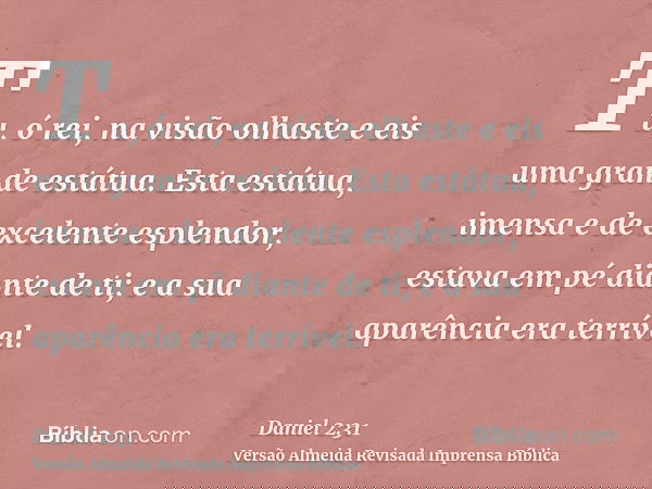 Tu, ó rei, na visão olhaste e eis uma grande estátua. Esta estátua, imensa e de excelente esplendor, estava em pé diante de ti; e a sua aparência era terrível.