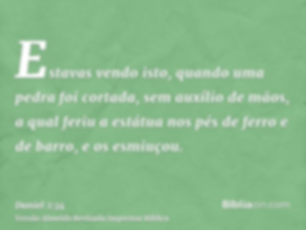 Estavas vendo isto, quando uma pedra foi cortada, sem auxílio de mãos, a qual feriu a estátua nos pés de ferro e de barro, e os esmiuçou.