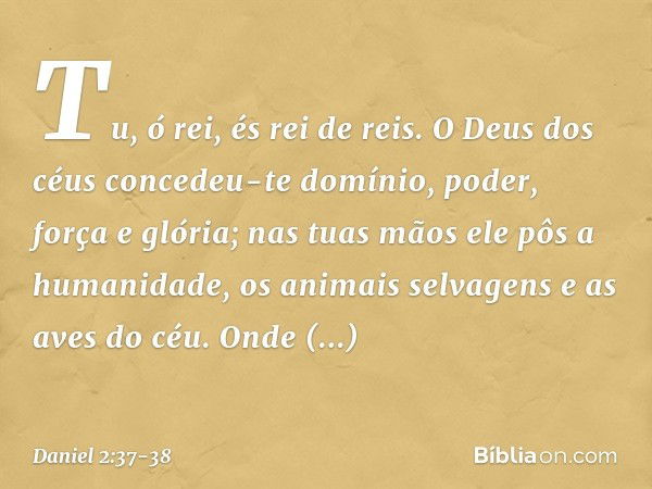 Tu, ó rei, és rei de reis. O Deus dos céus concedeu-te domínio, poder, força e glória; nas tuas mãos ele pôs a humanida­de, os animais selvagens e as aves do cé