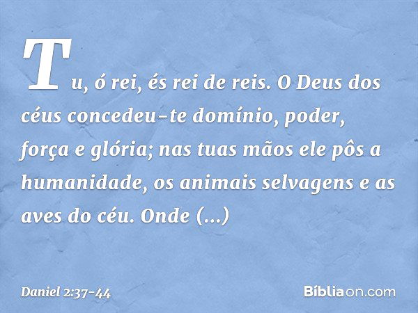 Tu, ó rei, és rei de reis. O Deus dos céus concedeu-te domínio, poder, força e glória; nas tuas mãos ele pôs a humanida­de, os animais selvagens e as aves do cé