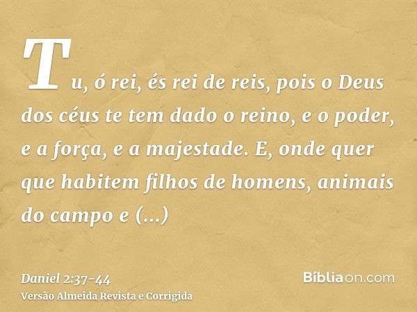 Tu, ó rei, és rei de reis, pois o Deus dos céus te tem dado o reino, e o poder, e a força, e a majestade.E, onde quer que habitem filhos de homens, animais do c