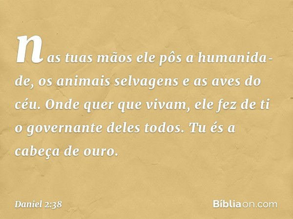 nas tuas mãos ele pôs a humanida­de, os animais selvagens e as aves do céu. Onde quer que vivam, ele fez de ti o governante deles todos. Tu és a cabeça de ouro.