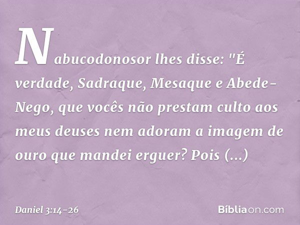 Na­bucodonosor lhes disse: "É verdade, Sadraque, Mesaque e Abede-Nego, que vocês não prestam culto aos meus deuses nem adoram a imagem de ouro que mandei erguer