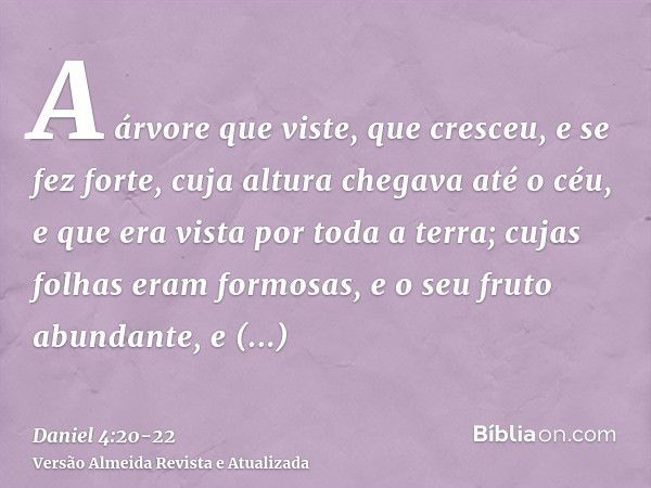 A árvore que viste, que cresceu, e se fez forte, cuja altura chegava até o céu, e que era vista por toda a terra;cujas folhas eram formosas, e o seu fruto abund