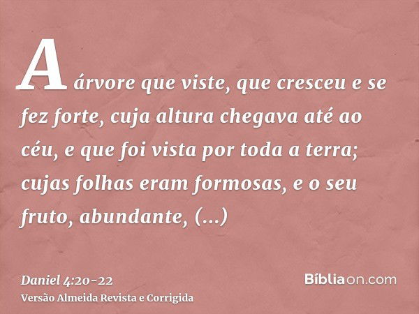 A árvore que viste, que cresceu e se fez forte, cuja altura chegava até ao céu, e que foi vista por toda a terra;cujas folhas eram formosas, e o seu fruto, abun