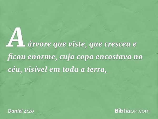 A árvore que viste, que cresceu e ficou enor­me, cuja copa encostava no céu, visível em toda a terra, -- Daniel 4:20