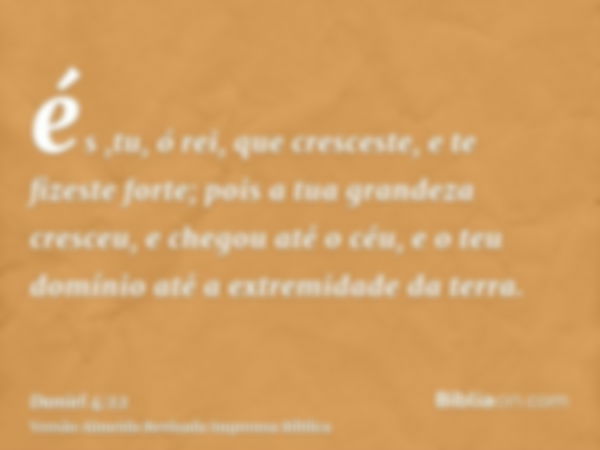 és ,tu, ó rei, que cresceste, e te fizeste forte; pois a tua grandeza cresceu, e chegou até o céu, e o teu domínio até a extremidade da terra.