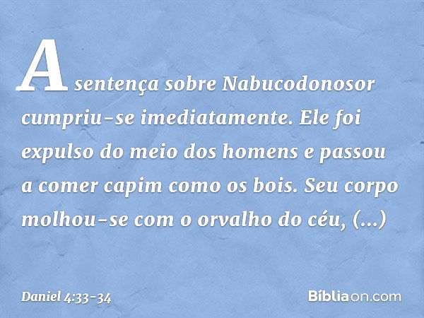 A sentença sobre Nabucodonosor cumpriu-se imediatamente. Ele foi expulso do meio dos homens e passou a comer capim como os bois. Seu corpo molhou-se com o orval