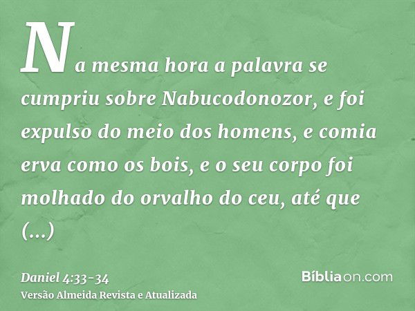 Na mesma hora a palavra se cumpriu sobre Nabucodonozor, e foi expulso do meio dos homens, e comia erva como os bois, e o seu corpo foi molhado do orvalho do ceu