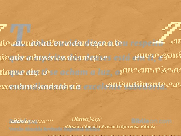 Tenho ouvido dizer a teu respeito que o espírito dos deuses está em ti, e que em ti se acham a luz, o entendimento e a excelente sabedoria.