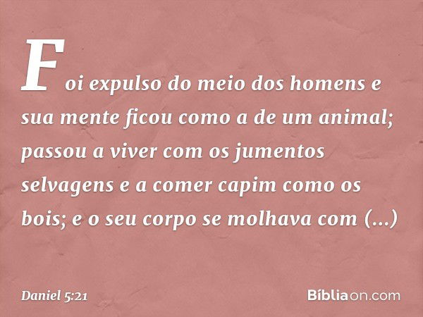 Foi expulso do meio dos homens e sua mente ficou como a de um animal; passou a viver com os jumentos selvagens e a comer capim como os bois; e o seu corpo se mo