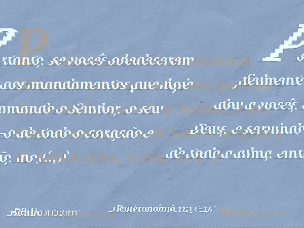 "Portanto, se vocês obedecerem fielmente aos mandamentos que hoje dou a vocês, amando o Senhor, o seu Deus, e servindo-o de todo o coração e de toda a alma, ent