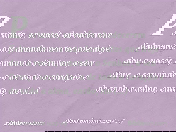 "Portanto, se vocês obedecerem fielmente aos mandamentos que hoje dou a vocês, amando o Senhor, o seu Deus, e servindo-o de todo o coração e de toda a alma, ent