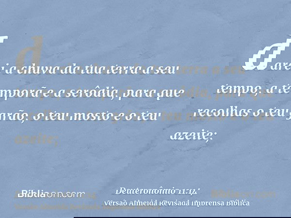 darei a chuva da tua terra a seu tempo, a temporã e a serôdia, para que recolhas o teu grão, o teu mosto e o teu azeite;