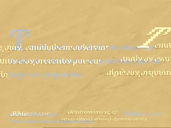 Tende, pois, cuidado em observar todos os estatutos e os preceitos que eu hoje vos proponho.