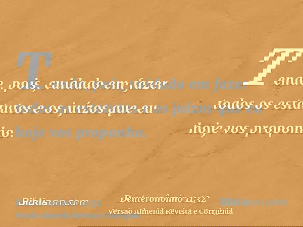 Tende, pois, cuidado em fazer todos os estatutos e os juízos que eu hoje vos proponho.