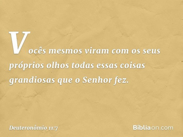 Vocês mesmos viram com os seus próprios olhos todas essas coisas grandiosas que o Senhor fez. -- Deuteronômio 11:7