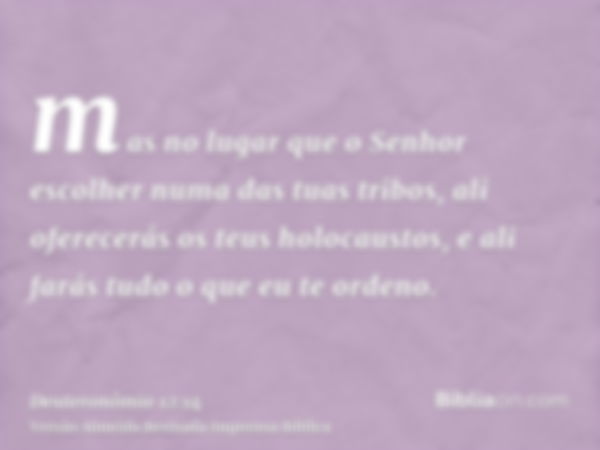 mas no lugar que o Senhor escolher numa das tuas tribos, ali oferecerás os teus holocaustos, e ali farás tudo o que eu te ordeno.