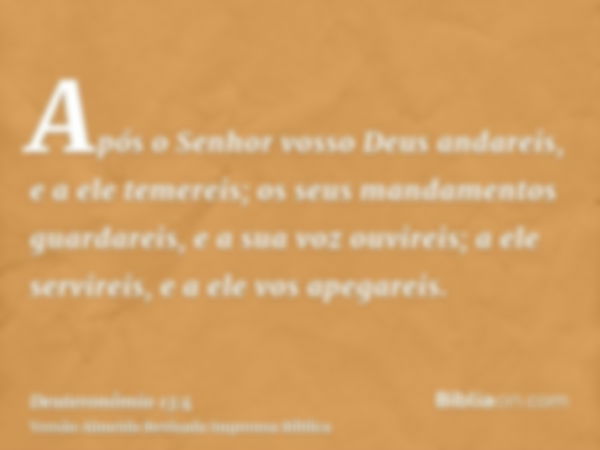 Após o Senhor vosso Deus andareis, e a ele temereis; os seus mandamentos guardareis, e a sua voz ouvireis; a ele servireis, e a ele vos apegareis.