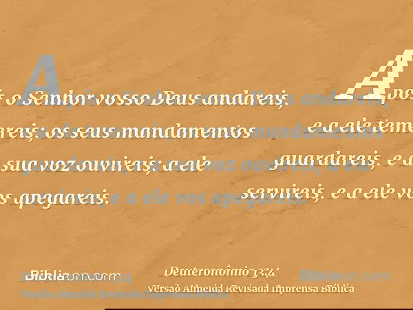 Após o Senhor vosso Deus andareis, e a ele temereis; os seus mandamentos guardareis, e a sua voz ouvireis; a ele servireis, e a ele vos apegareis.