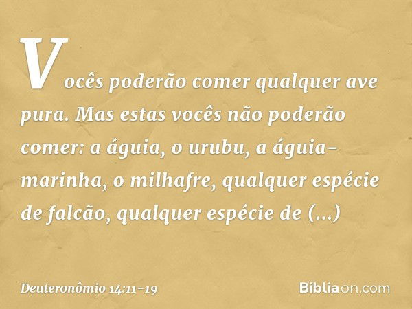 "Vocês poderão comer qualquer ave pura. Mas estas vocês não poderão comer: a águia, o urubu, a águia-marinha, o milhafre, qualquer espécie de falcão, qualquer e