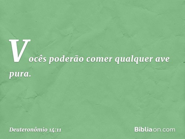 "Vocês poderão comer qualquer ave pura. -- Deuteronômio 14:11