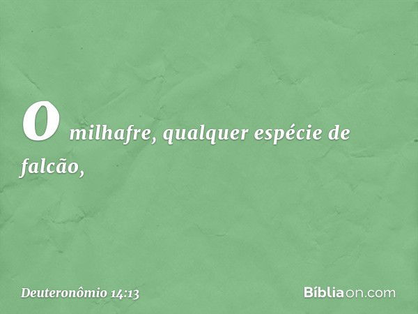 o milhafre, qualquer espécie de falcão, -- Deuteronômio 14:13