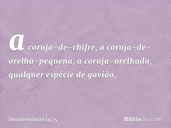 a coruja-de-chifre, a coruja-de-orelha-pequena, a coruja-orelhuda, qualquer espécie de gavião, -- Deuteronômio 14:15