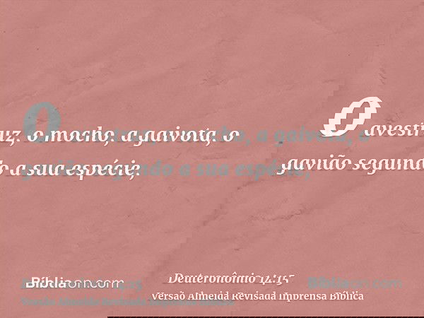 o avestruz, o mocho, a gaivota, o gavião segundo a sua espécie,