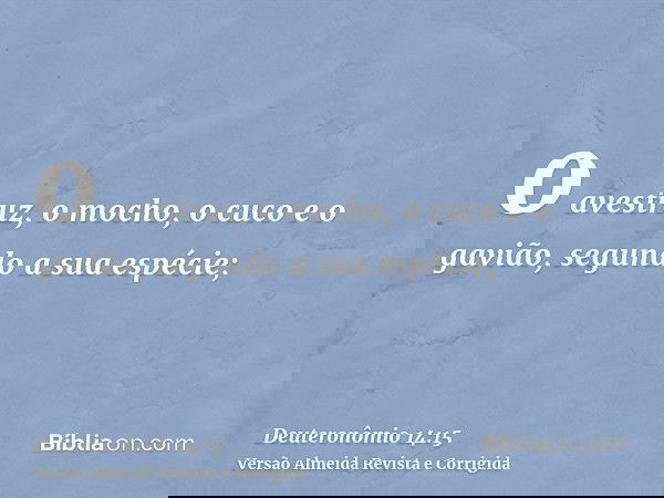 o avestruz, o mocho, o cuco e o gavião, segundo a sua espécie;