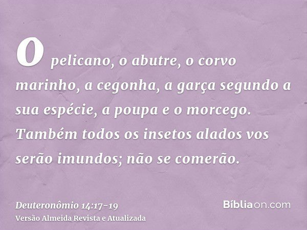 o pelicano, o abutre, o corvo marinho,a cegonha, a garça segundo a sua espécie, a poupa e o morcego.Também todos os insetos alados vos serão imundos; não se com