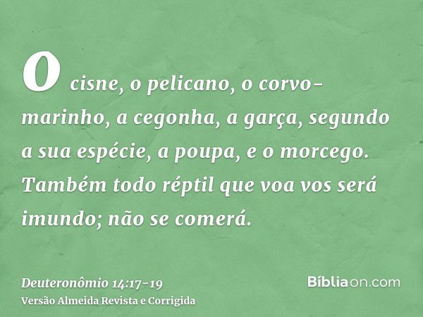 o cisne, o pelicano, o corvo-marinho,a cegonha, a garça, segundo a sua espécie, a poupa, e o morcego.Também todo réptil que voa vos será imundo; não se comerá.