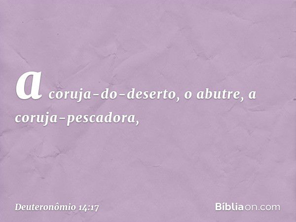 a coruja-do-deserto, o abutre, a coruja-pescadora, -- Deuteronômio 14:17