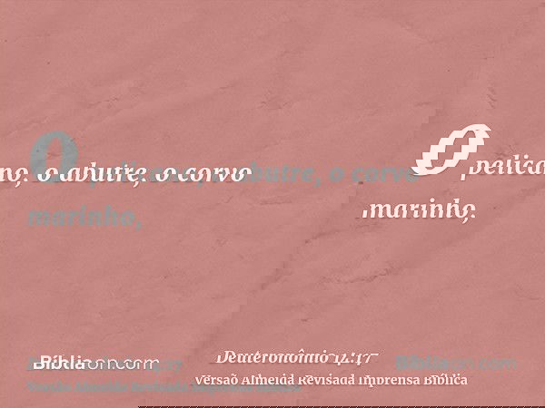 o pelicano, o abutre, o corvo marinho,
