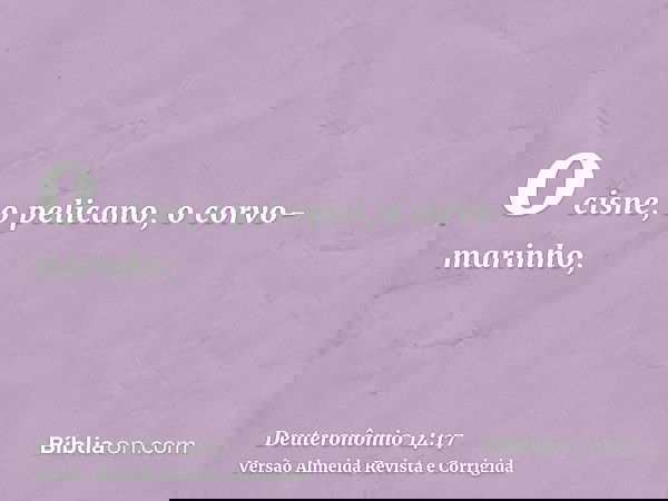 o cisne, o pelicano, o corvo-marinho,