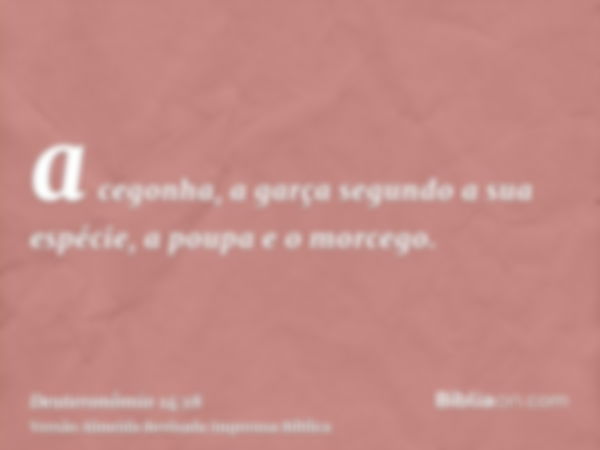 a cegonha, a garça segundo a sua espécie, a poupa e o morcego.