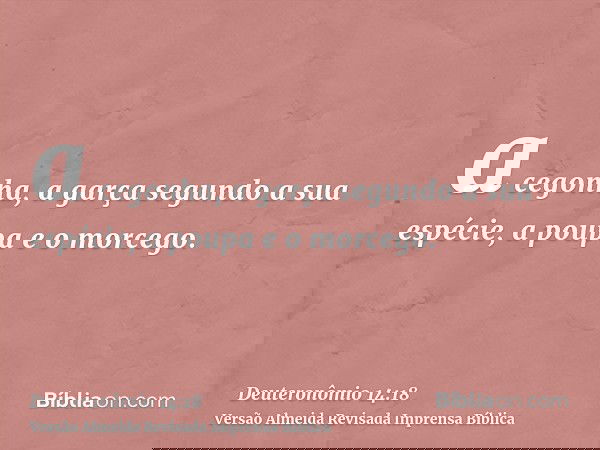 a cegonha, a garça segundo a sua espécie, a poupa e o morcego.