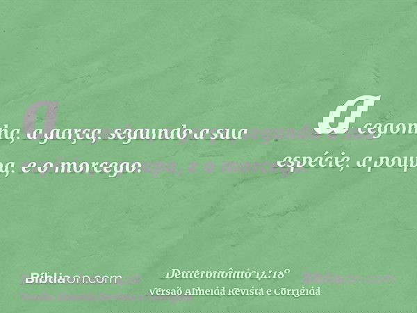 a cegonha, a garça, segundo a sua espécie, a poupa, e o morcego.