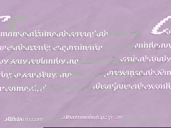 Comam o dízimo do cereal, do vinho novo e do azeite, e a primeira cria de todos os seus rebanhos na presença do Senhor, o seu Deus, no local que ele escolher co