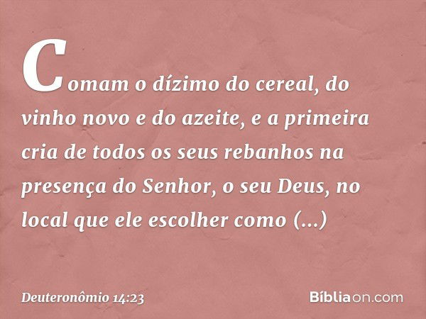 Comam o dízimo do cereal, do vinho novo e do azeite, e a primeira cria de todos os seus rebanhos na presença do Senhor, o seu Deus, no local que ele escolher co