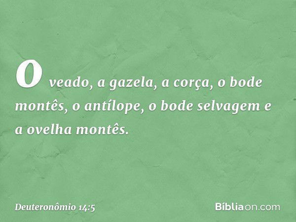 o veado, a gazela, a corça, o bode montês, o antílope, o bode selvagem e a ovelha montês. -- Deuteronômio 14:5