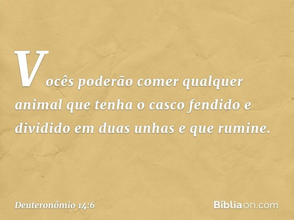 Vocês poderão comer qualquer animal que tenha o casco fendido e dividido em duas unhas e que rumine. -- Deuteronômio 14:6