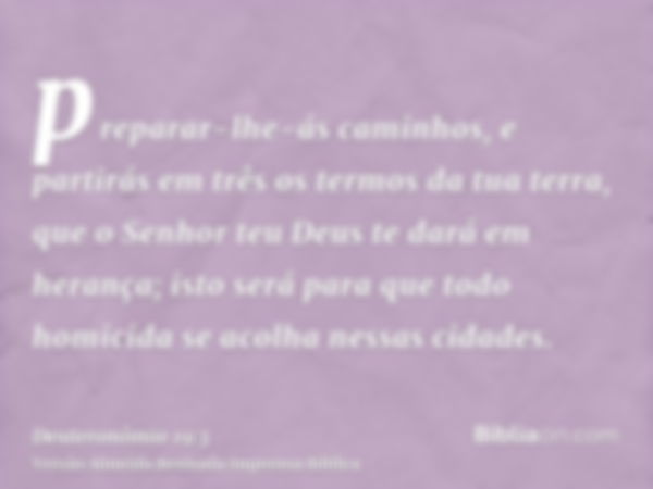 preparar-lhe-ás caminhos, e partirás em três os termos da tua terra, que o Senhor teu Deus te dará em herança; isto será para que todo homicida se acolha nessas